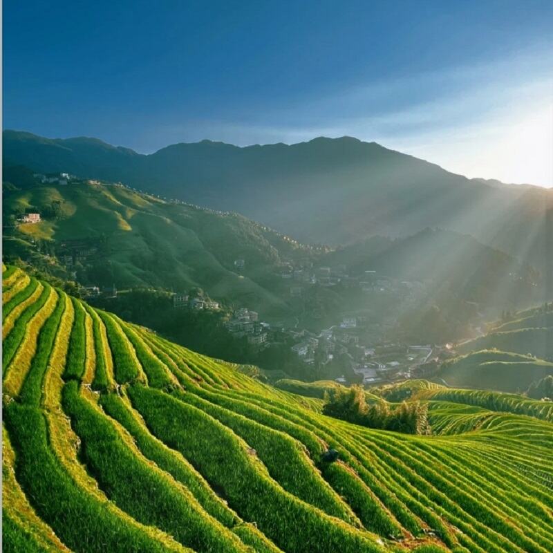 桂林小团旅游阳朔4天3晚跟团游遇龙河竹筏世外桃源龙脊梯田银子岩 图 5