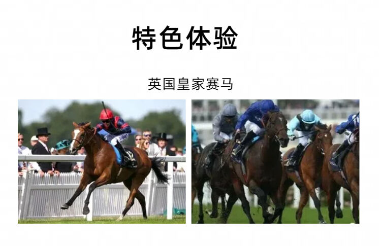 全国出发英国伦敦剑桥约克爱丁堡曼彻斯特牛津8-12天自由行 行程图 13