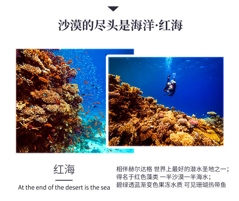 埃及旅游纯玩金字塔尼罗河卢克索阿斯旺红海6-9天五星当地参团 行程图 9