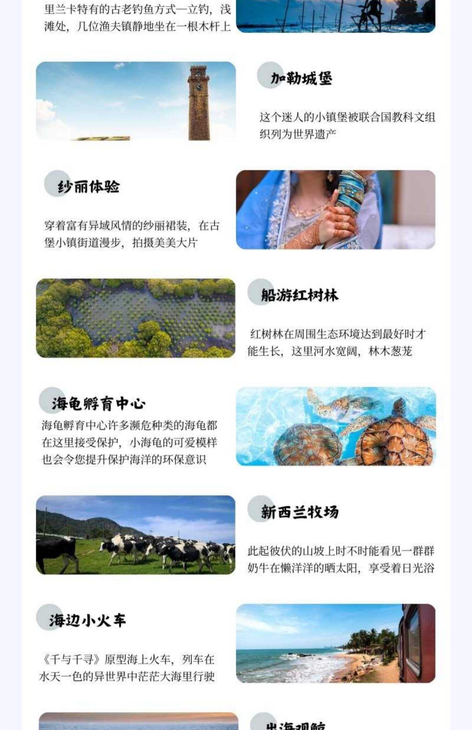 斯里兰卡6-8天多线路私家团落地游玩全程专车含住宿服务不含机票 行程图 4