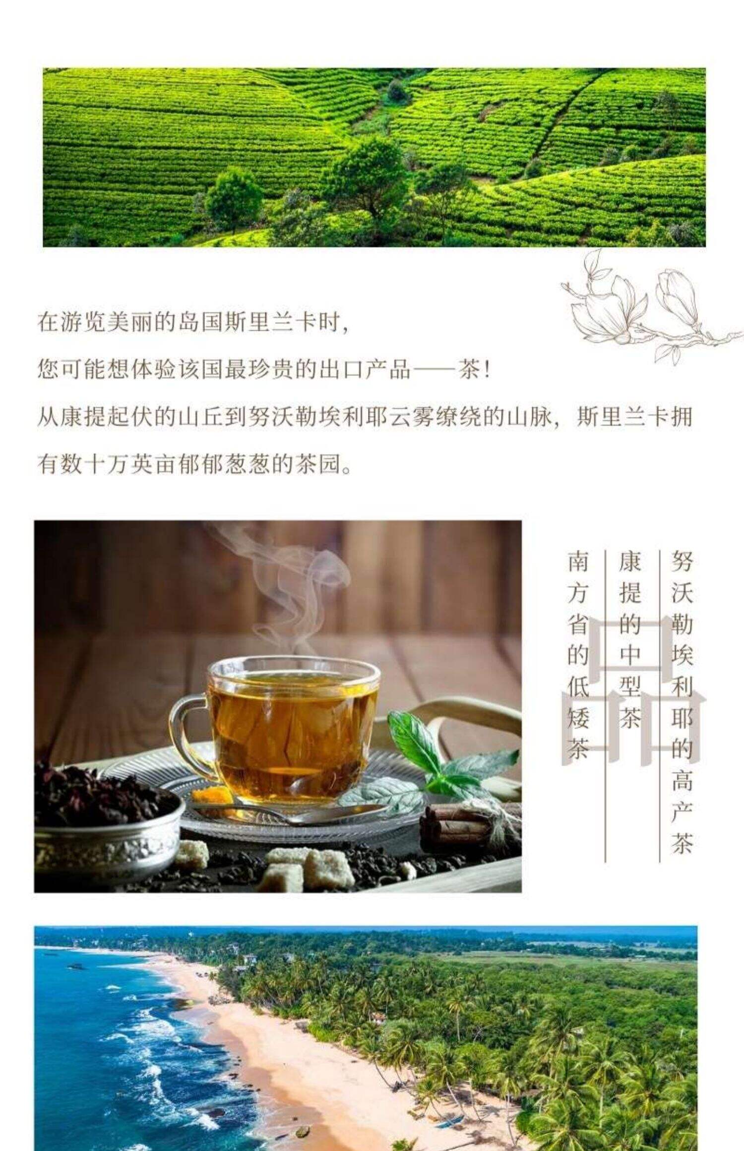 斯里兰卡6-8天多线路私家团落地游玩全程专车含住宿服务不含机票 行程图 15
