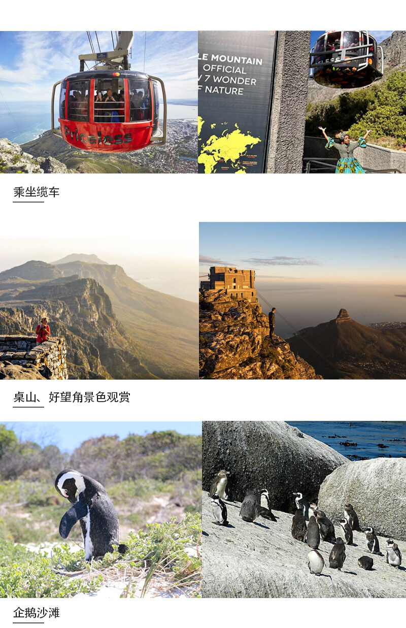 南非开普敦参团一日游(桌山+企鹅滩+好望角) 行程图 4