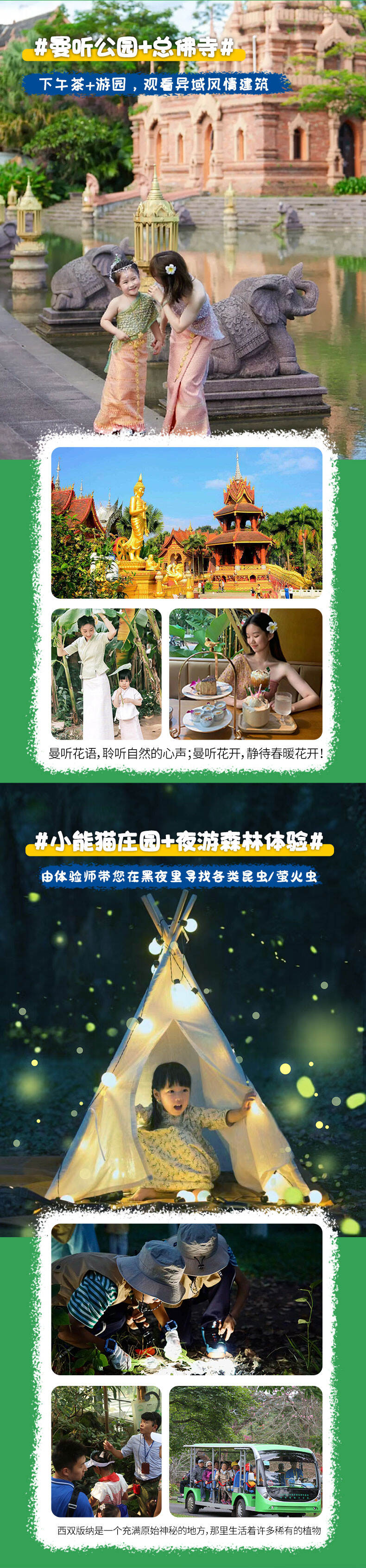 亲子小熊猫庄园云南普洱西双版纳旅游5天4晚当地纯玩私家团旅行 行程图 10