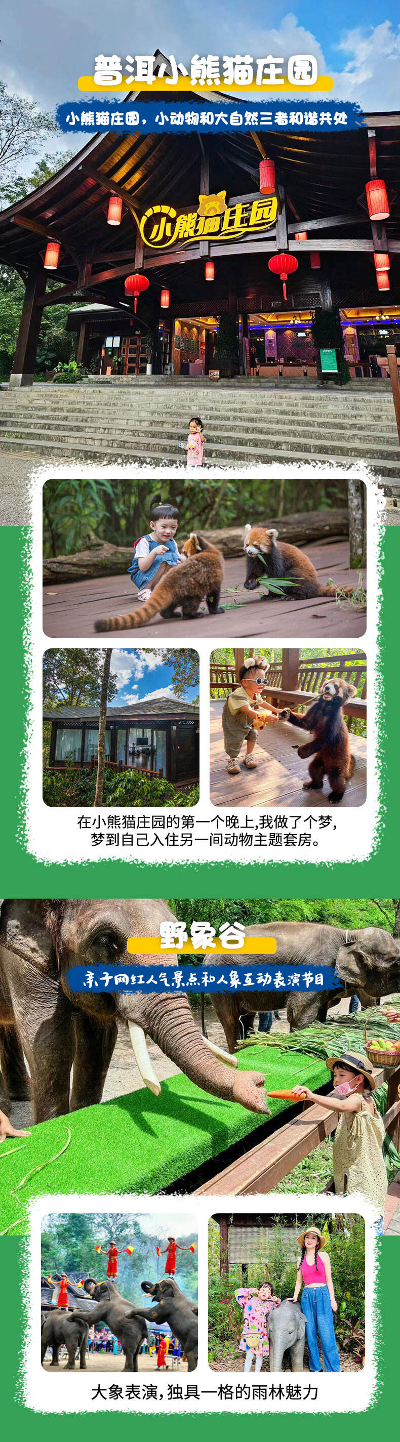 亲子小熊猫庄园云南普洱西双版纳旅游5天4晚当地纯玩私家团旅行 行程图 11
