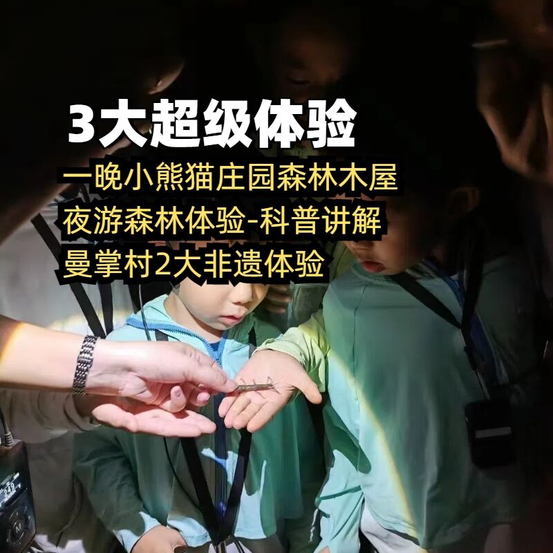 亲子小熊猫庄园云南普洱西双版纳旅游5天4晚当地纯玩私家团旅行 图 2