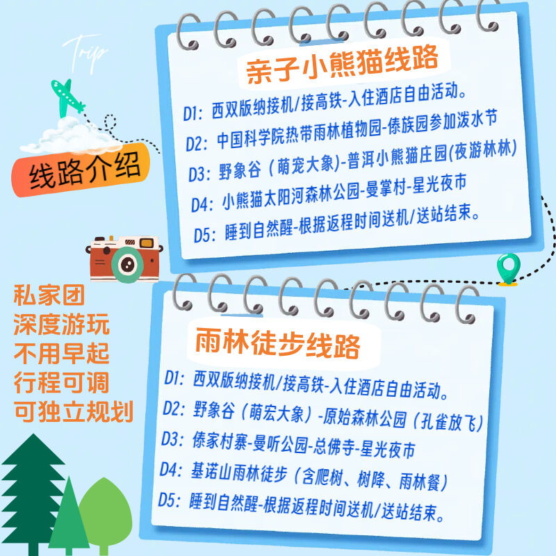 亲子小熊猫庄园云南普洱西双版纳旅游5天4晚当地纯玩私家团旅行 图 3