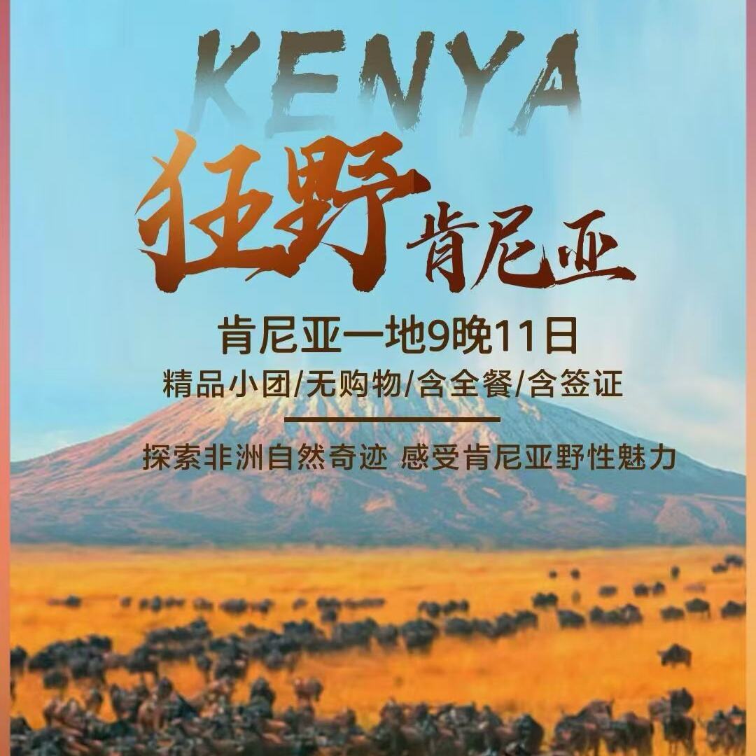 肯尼亚一地9晚11日（精 选 阿 联 酋 航 空 往 返/北 京 起 止/畅 享 舒 适 旅 程）