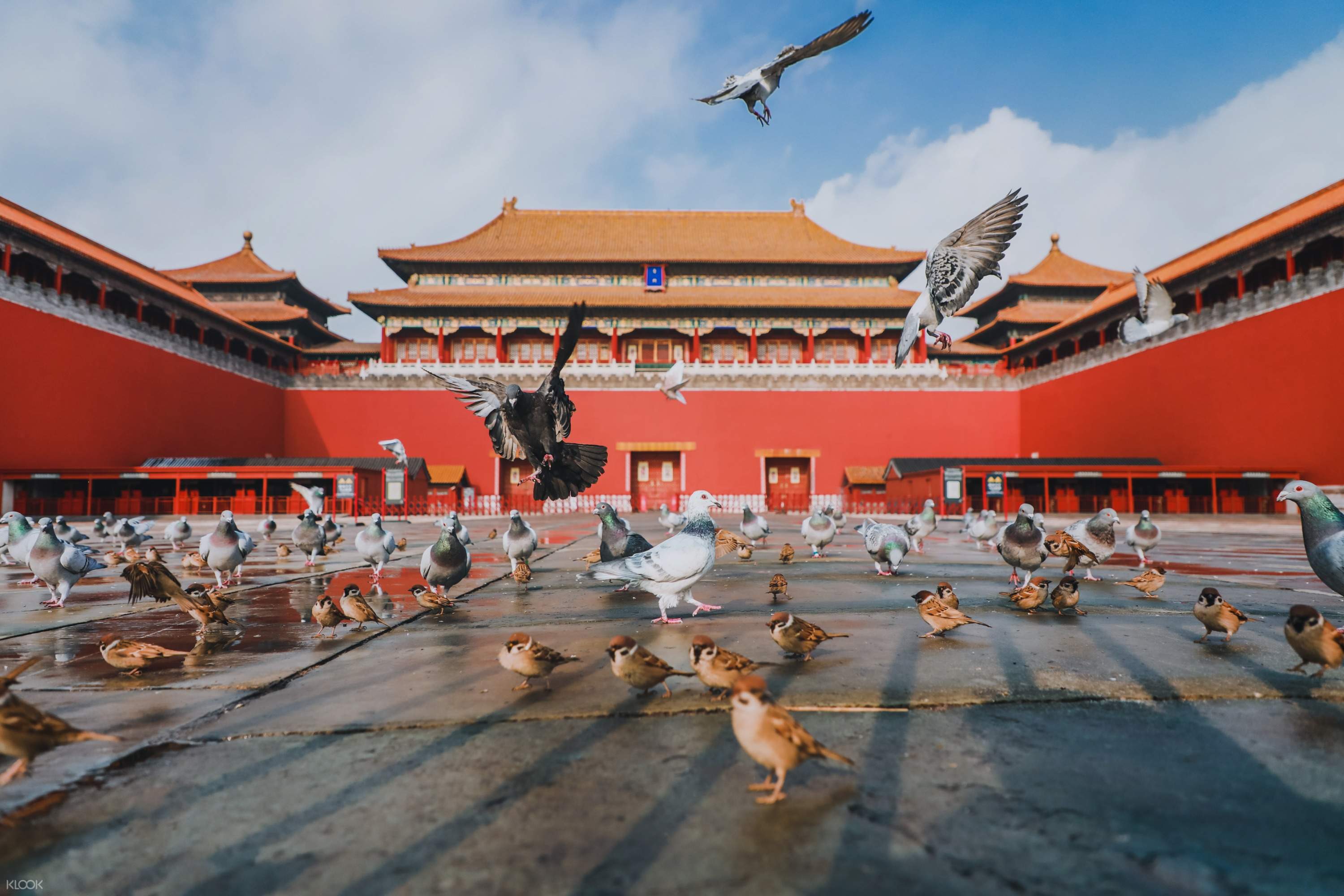 ❣️北京故宫紫禁城门票 行程图 6