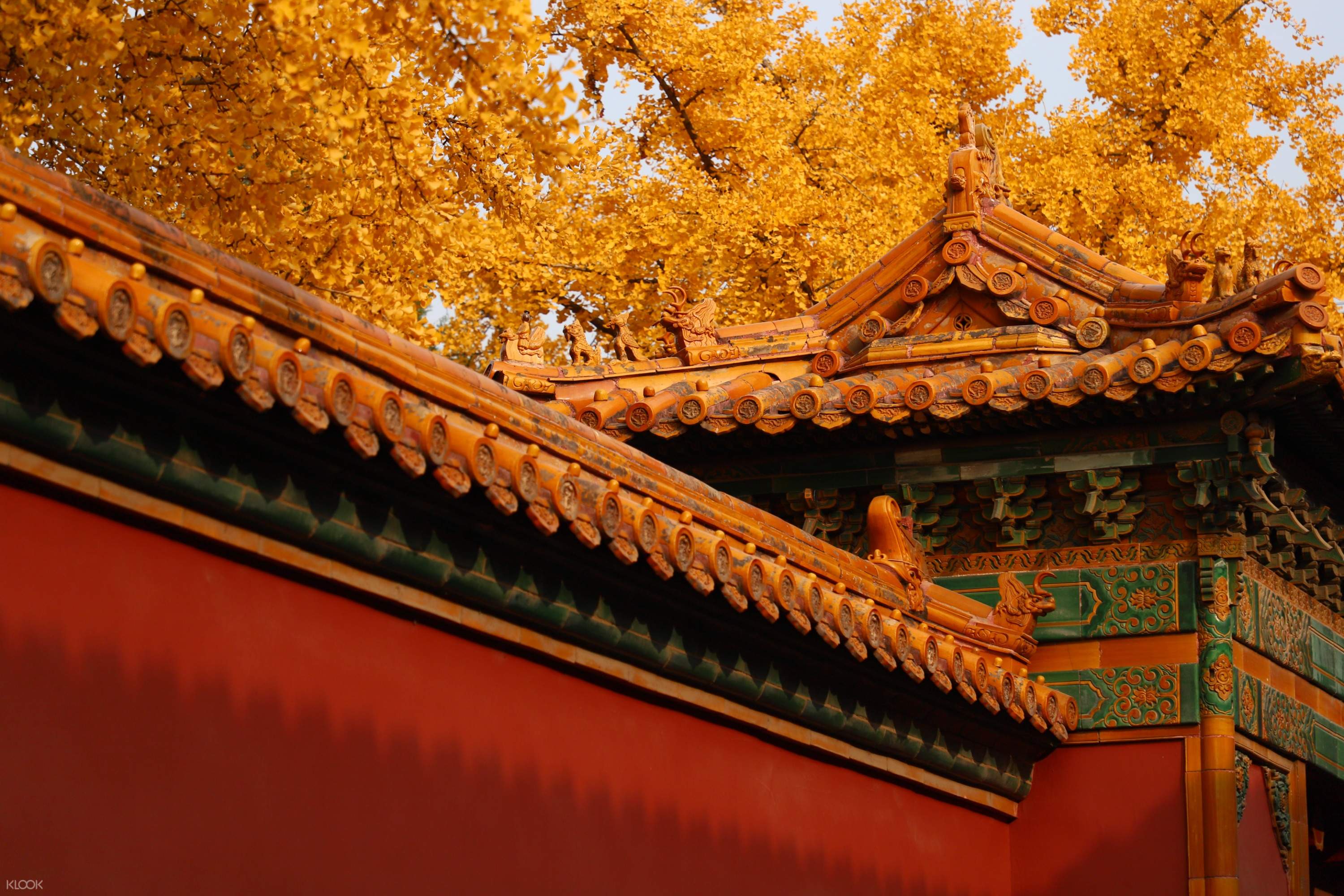 ❣️北京故宫紫禁城门票 行程图 9