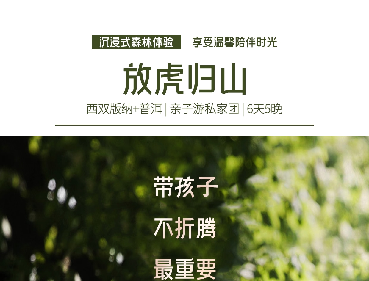 ❣️【放虎归山】云南西双版纳普洱6天5晚亲子游私家团(普洱森林公园+夜游植物园+小熊猫互动+告庄旅拍) 行程图 2