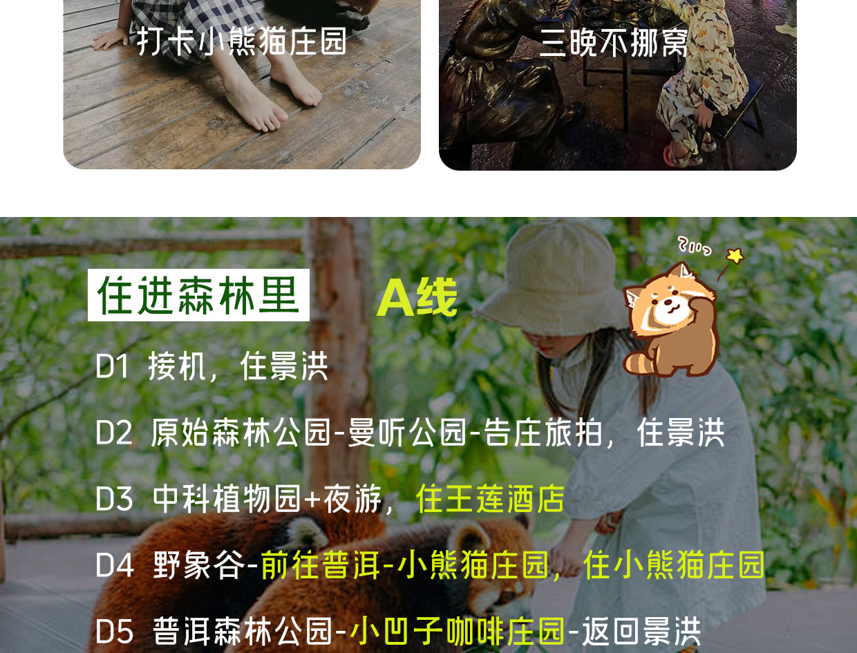 ❣️【放虎归山】云南西双版纳普洱6天5晚亲子游私家团(普洱森林公园+夜游植物园+小熊猫互动+告庄旅拍) 行程图 8