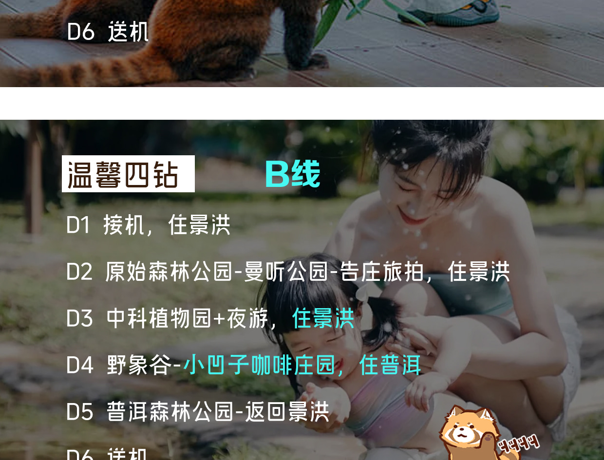 ❣️【放虎归山】云南西双版纳普洱6天5晚亲子游私家团(普洱森林公园+夜游植物园+小熊猫互动+告庄旅拍) 行程图 9