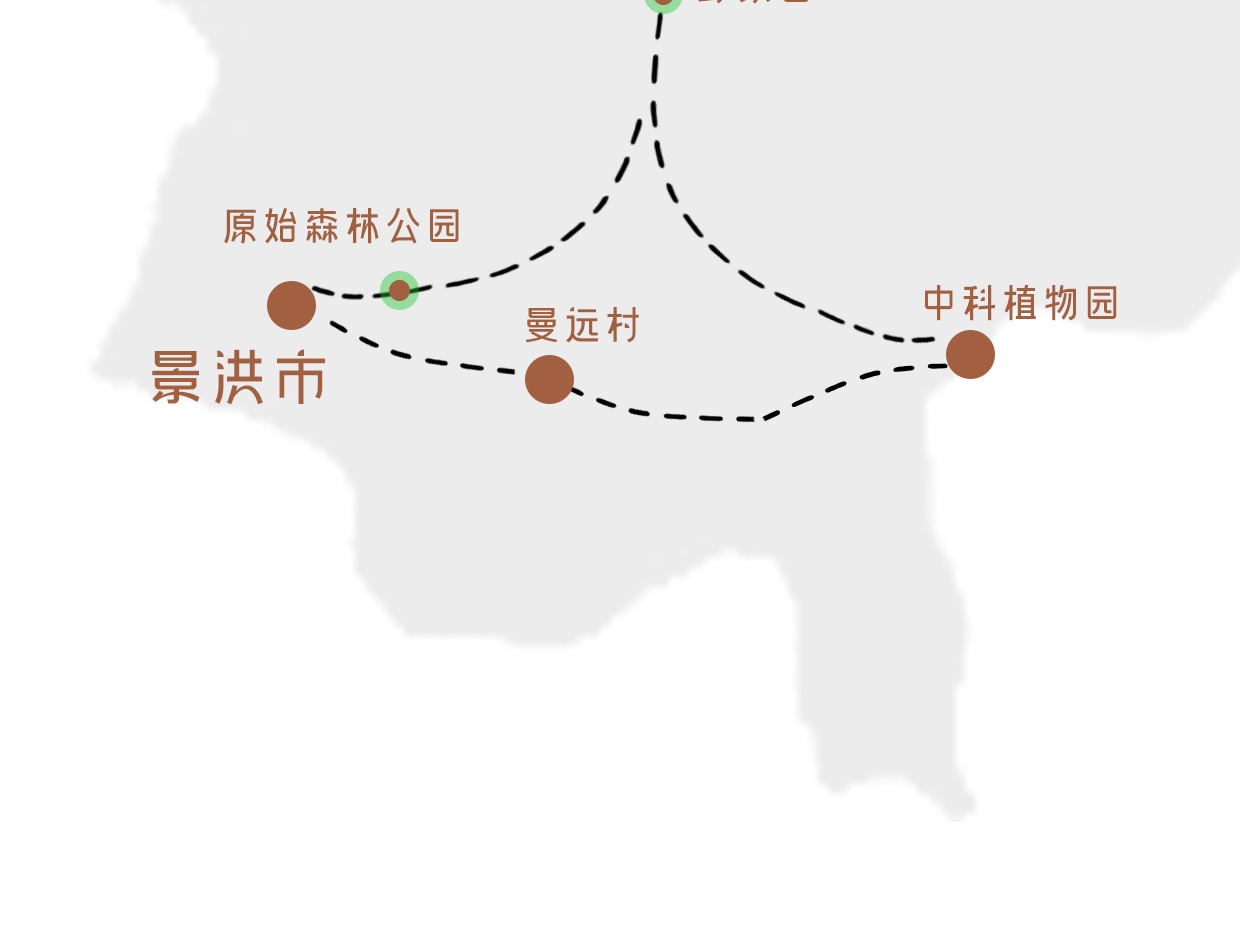 ❣️【放虎归山】云南西双版纳普洱6天5晚亲子游私家团(普洱森林公园+夜游植物园+小熊猫互动+告庄旅拍) 行程图 11