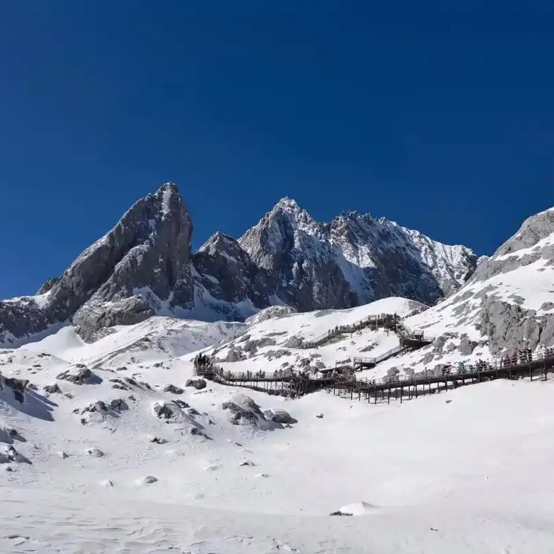❣️丽江私人小团1日游 玉龙雪山 云杉坪 牦牛坪索道 白沙古镇