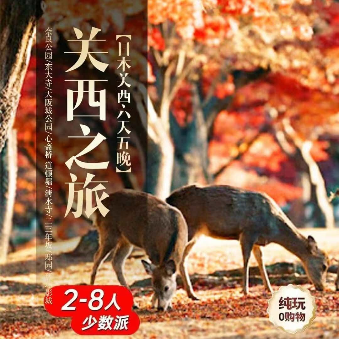 日本关西六天五晚（春节期间或旺季及节假日现询，根据日期需二次核算）