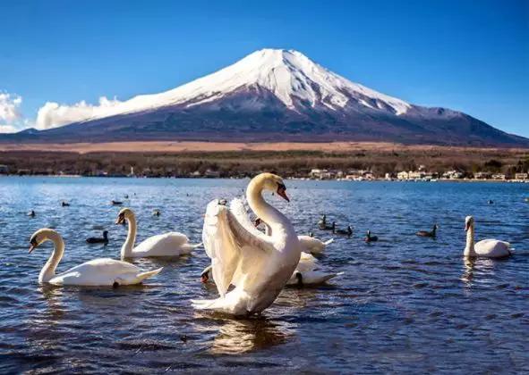 関東艺术巡礼|镰仓+富士山2日之旅 行程图 12
