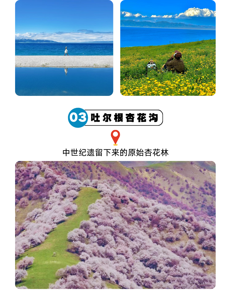 含机票 6人纯玩团新疆旅游伊犁杏花沟赛里木湖那拉提库尔德宁7日 行程图 6