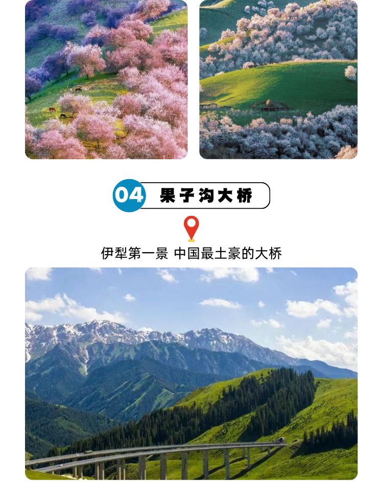 含机票 6人纯玩团新疆旅游伊犁杏花沟赛里木湖那拉提库尔德宁7日 行程图 7