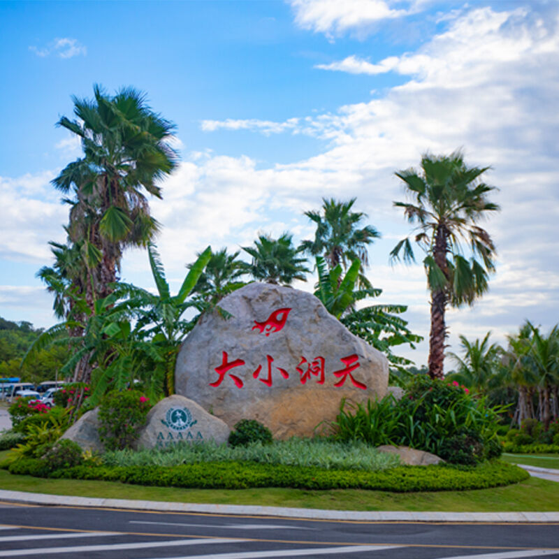 定制旅行|老人康养休养|南山文华苑祈福活动|蜈支洲岛|5天4晚 图 4