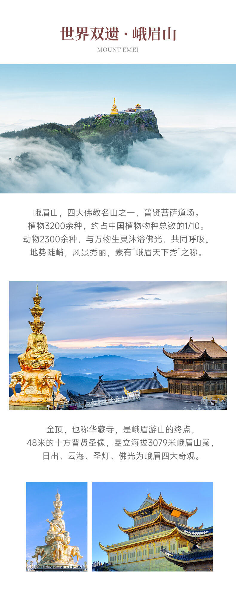 峨眉静旅·清心静心4日营 行程图 4