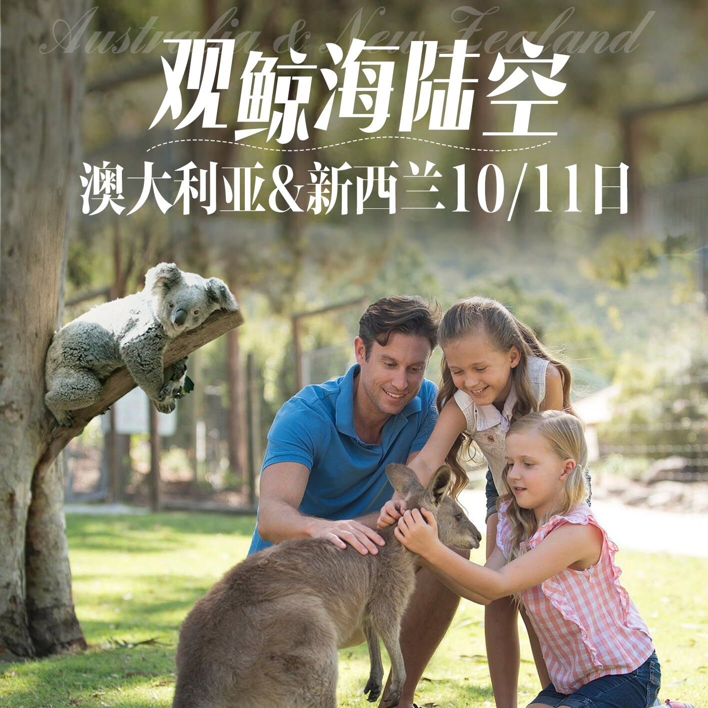 澳大利亚&新西兰10/11日（前10报名立减500元/人 游船直升机&私家农场&地热冷泉&大洋路&考拉合影）
