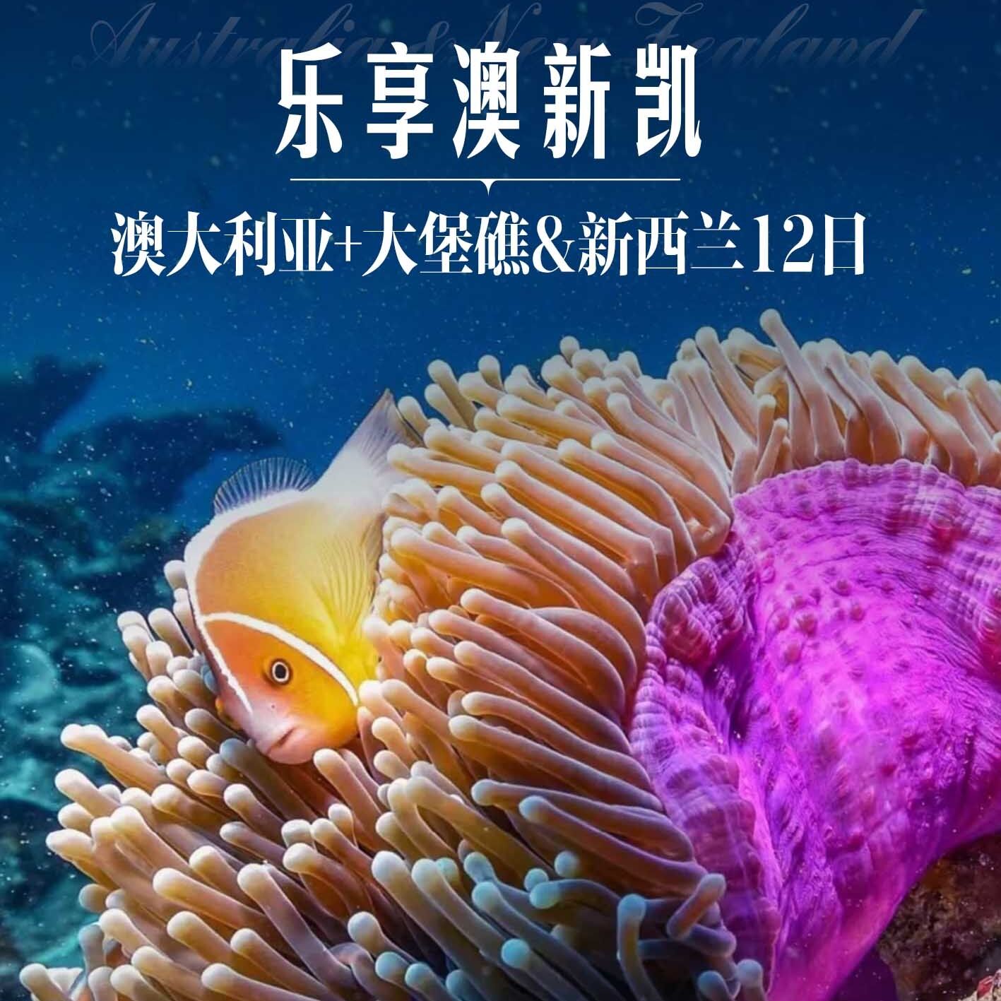 澳大利亚+大堡礁&新西兰12日（前10报名立减500元/人）