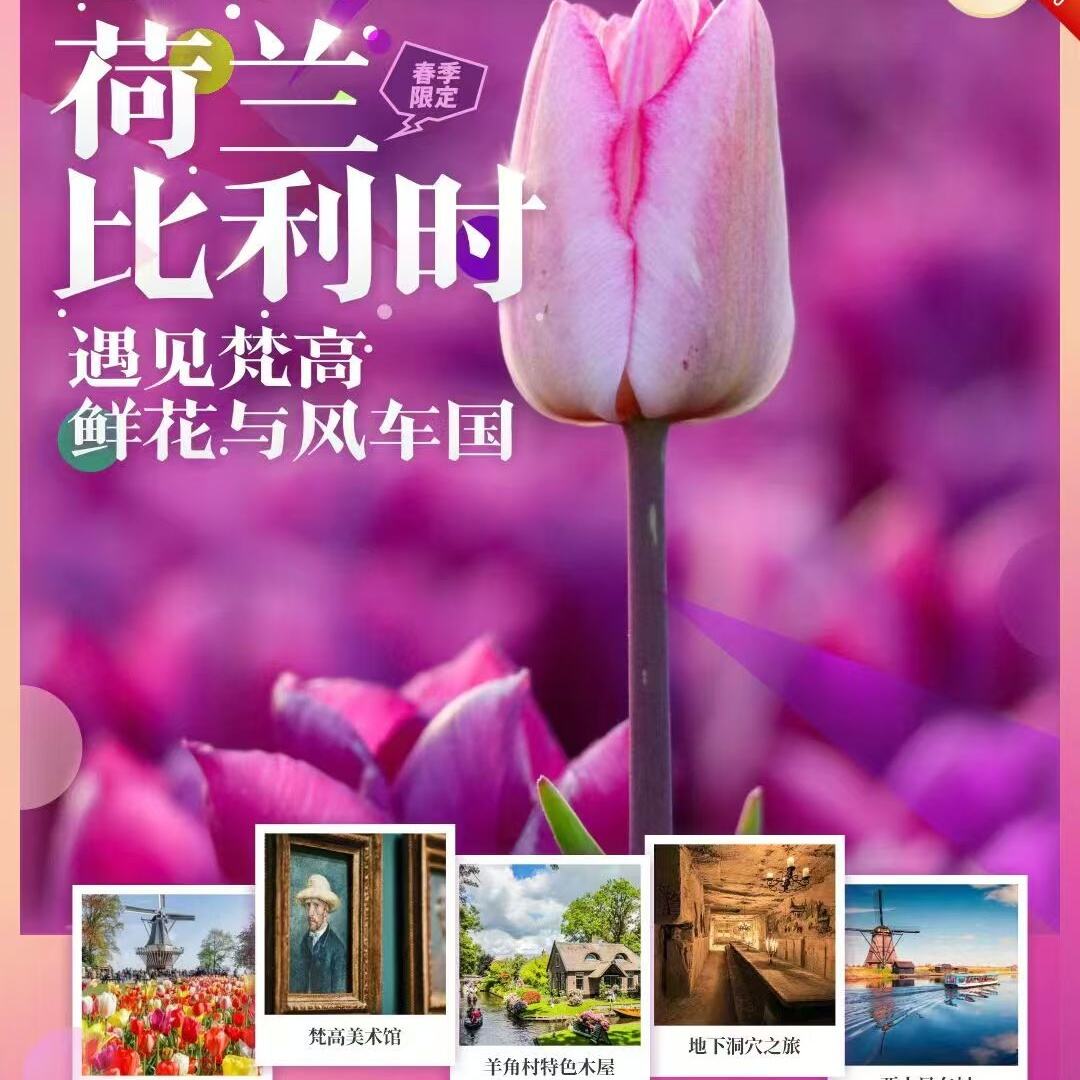 荷兰十比利时9晚12日