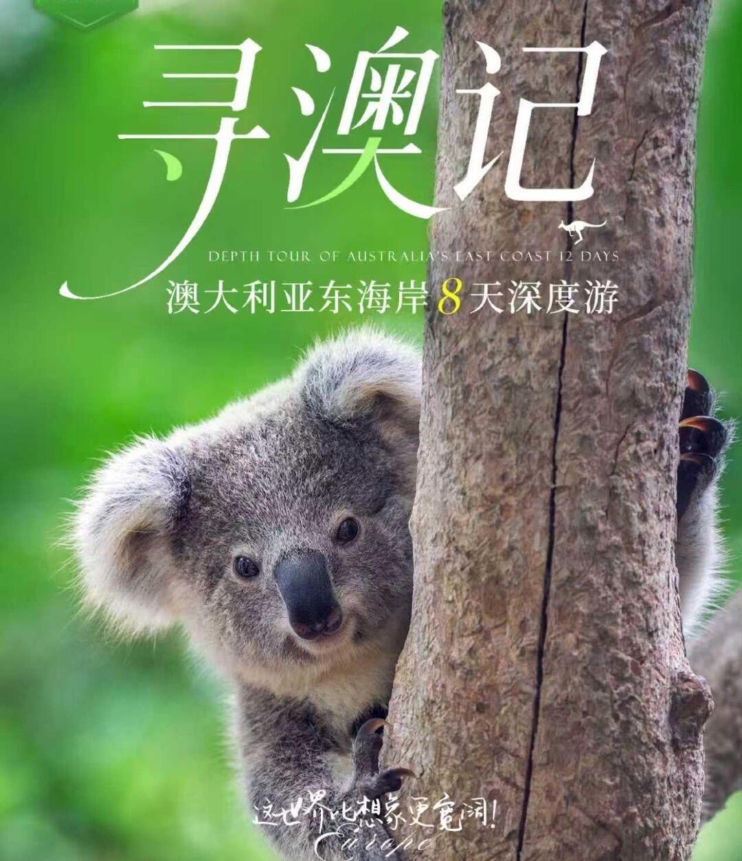 澳大利亚东海岸8天深度游 寻澳记御品