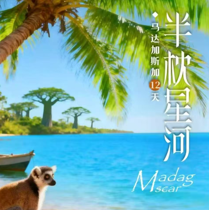 半枕星月 马达加斯加12天（埃塞俄比亚航空 北京/上海/广州/成都同步起止 komba狐猴岛 TANIKELY小岛跳岛两日游 漫步在猴面包大道守候绝美日落 BETANIA原始海上渔村狐猴近距离接触）