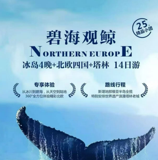 冰岛4晚+北欧四国+塔林 14日游 碧海观鲸（25人精品小团 一价全含10自费 VIP定制斯德哥尔摩-卑尔根加飞节省超千公里拉车 高标八菜一汤+特色美食体验 游轮外舱+峡湾&冰岛特色酒店 免费联运+欧洲流量卡就近指纹+拒签无损）