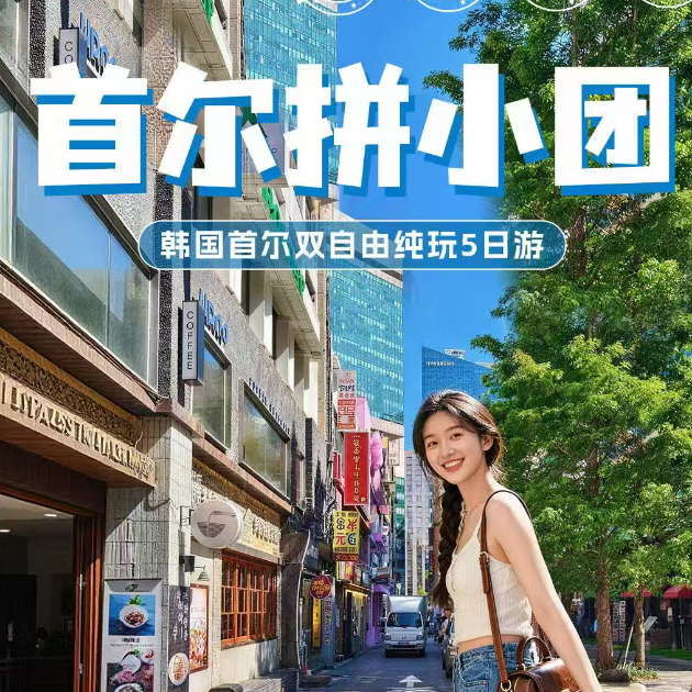 首尔拼小团 韩国首尔双自由纯玩5日游（2天自由 2-9人小团 纯玩不进店 专车服务）