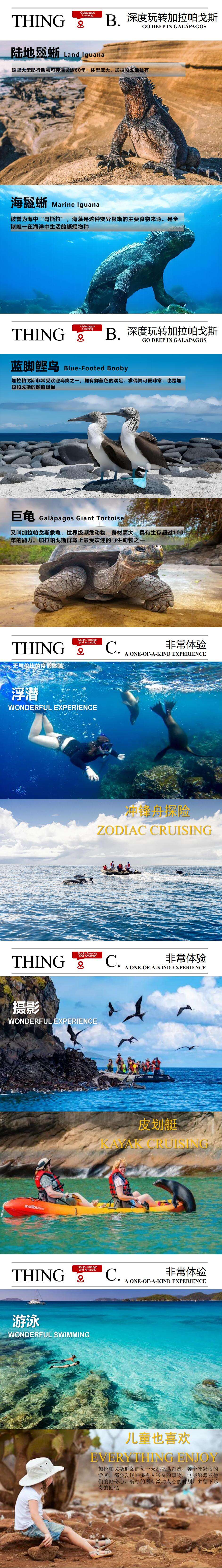 加拉帕戈斯 深度探索15天 达尔文:赤道上的孤本,一部读不完的自然史诗 行程图 4